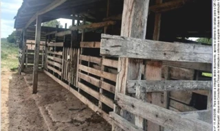 Imóvel 2899271 [''] - ['PA RR-170, na Gleba Barauana, Município de Caracaraí'] [''] - ['Caracaraí']/['RR'] - 1