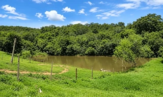 Imóvel 3044771 [''] - ['Sítio da Vovó Ana, localizado na Fazenda Buriti'] [''] - ['Bonfinópolis']/['GO'] - 1