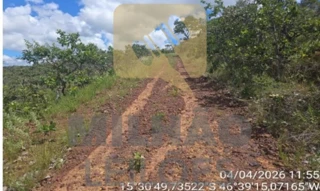 Imóvel 2972771 [''] - ['Fazenda São Vicente da Direita, Buritis - MG'] ['15KM A ESQUERDA'] - ['Buritis']/['MG'] - 1