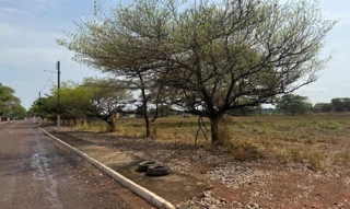 Imóvel 2609771 [''] - ['Lote nº 02 da Quadra nº 48'] [''] - ['Araguacema']/['TO'] - 1