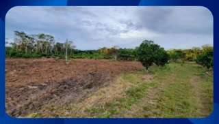 Imóvel 2633771 [''] - ['Travessa da Pedreira, 201, Zona Rural'] ['Distrito Industrial'] - ['Santa Cruz Do Sul']/['RS'] - 1