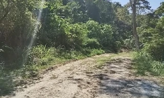 Imóvel 2656571 ['1444419241119'] - ['RUA JORNALISTA CARLOS SILVA,N. SN QD 435, LT 20, PIRATININGA - CEP: 24300-000, NITEROI - RIO DE JANEIRO'] ['Piratininga'] - ['Niterói']/['RJ'] - 1