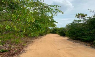 Imóvel 2596671 [''] - ['Nao informado Nao informado'] [''] - ['Conde']/['PB'] - 1