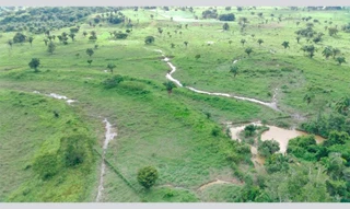 Imóvel 2920271 [''] - ['Terreno - Urupá - RO'] [''] - ['Urupá']/['RO'] - 1