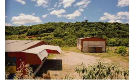 Terreno em Caxias do Sul, Maestra, Estrada Municipal Adolfo Randazzo, 1451, RS. Área: 23384m2