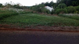 Imóvel 2378071 [''] - ['Rua Olívio Eleutério de Souza, SN, Lote 30 da Quadra 15'] [''] - ['Terra Roxa']/['PR'] - 1