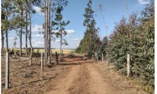 Imóvel 2494671 [''] - ['GLEBA SAMAMBAIA, LOTES N°41, DISTRITO DE ENTRE RIOS'] [''] - ['Guarapuava']/['PR'] - 1