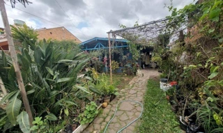 Imóvel 2686072 [''] - ['Rua Coronel Randolfo Guasque, 446, Arrorio da Manteiga, São Leopoldo/RS'] ['Arroio da Manteiga'] - ['São Leopoldo']/['RS'] - 1