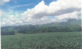 Imóvel 2596272 [''] - ['localizado na Linha Janjão, Cidade Cantagalo-Pr'] [''] - ['Cantagalo']/['PR'] - 1