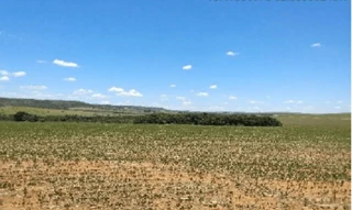 Imóvel 2982172 [''] - ['FAZENDA PERDIZES'] [''] - ['Baliza']/['GO'] - 1
