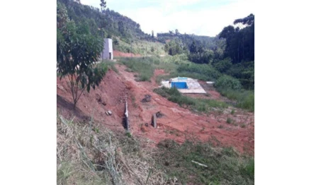 Imóvel rural em Ewbank da Câmara, , SÍTIO DA ONÇA, ANTIGO SÍTIO JULIPE, MG. Área: 46.46m2