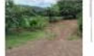 Imóvel 3028372 [''] - ['Lote Rural nº 178, com 29.000 m², da Gleba nº 33-AM, Núcleo Ampére, Colônia Missões, Município de Santa Izabel do Oeste'] [''] - ['Santa Izabel Do Oeste']/['PR'] - 1