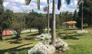 Imóvel 2907872 [''] - ['Estrada Dom José Melhado Campos (Estrada Municipal), s/nº - Mato Dentro ou Inhaiba (Pitas) - Sorocaba - SP'] [''] - ['Sorocaba']/['SP'] - 1
