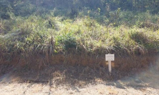 Imóvel 2871472 [''] - ['ESTRADA DOS CAETÉS, S/N- KM 02, CONDOMÍNIO ESTRADA REAL'] [''] - ['Matias Barbosa']/['MG'] - 1