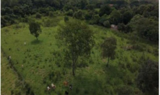 Imóvel 2716172 [''] - ['DF-140, 10, Gleba de Terras - Desmembrada da Fazenda Barreiros, KM 10, Zona Rural, Brasília, DF,, , Brasilia/DF'] [''] - ['Brasília']/['DF'] - 1