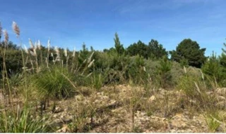 Imóvel 2610272 [''] - ['Rua 02, s/nº - Lotes 07, 08, 09, 10 da Quadra nº 6009 - Centro Industrial Caxias - Caxias do Sul / RS'] ['Santa Catarina'] - ['Caxias do Sul']/['RS'] - 1