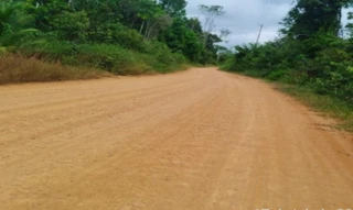 Imóvel 2955372 [''] - ['Ramal do Gato, s/nº - Terreno, denominado Sítio Guarani, Partes 1, 2, 3, 4 e 5, Gl Curua-Una - PA-370, km 54, Ramal da Boa Sorte. - Rural - Mojuí dos Campos / PA'] [''] - ['Mojuí Dos Campos']/['PA'] - 1