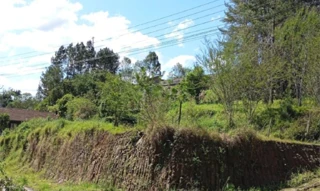 Imóvel 2594972 [''] - ['Rua Gustavo Muller esquina com a Rua Adolfo Berri'] ['Padre Eduardo'] - ['Taió']/['SC'] - 1