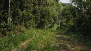 Imóvel 2855772 [''] - ['ALAMEDA RENO - (LOTE N° 13, QUADRA B, PARQUE GERMÂNIA), S/N, BOA VISTA'] [''] - ['Mairiporã']/['SP'] - 1
