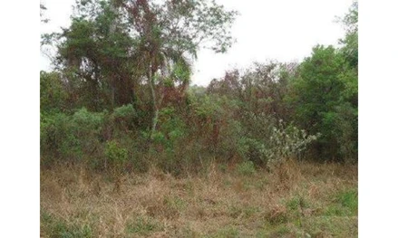 Terreno em Piratininga, , Chácara Bela Vista 2, SP. Área: 3.8842m2