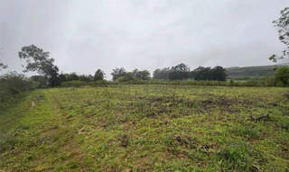 Imóvel 3059773 [''] - ['Nao informado Nao informado'] [''] - ['Eldorado Do Sul']/['RS'] - 1