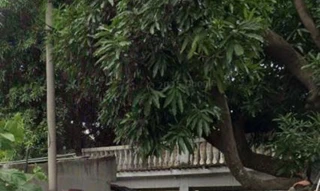 Imóvel 2731873 [''] - ['Rua Olímpia Esteves, Padre Miguel'] ['Padre Miguel'] - ['Rio De Janeiro']/['RJ'] - 1