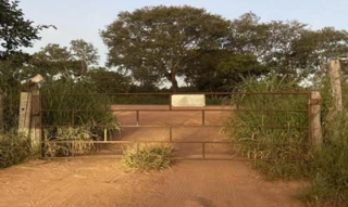 Imóvel 2662273 [''] - ['Rodovia Presidente Olegário A Br 040 Km 97, 0, Fazenda Gameleira, Lagoa Grande - MG'] [''] - ['Lagoa Grande']/['MG'] - 1