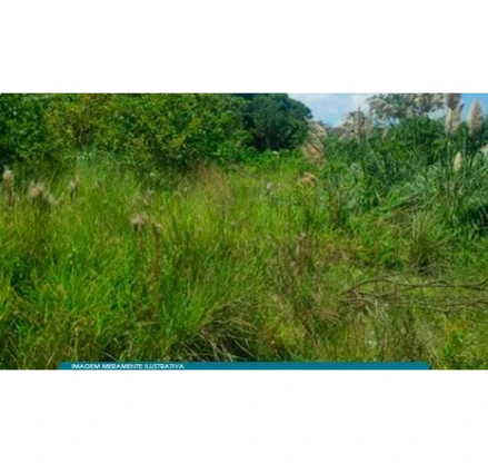 Terreno em Mauá, Jardim Isabella, Avenida José Fernando Medina Braga, SP. Área: 31597.86m2