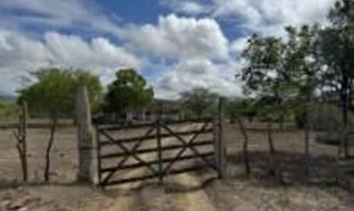 Imóvel 2673573 [''] - ['SITIO PAPAGAIO, ZONA RURAL, 2º DISTRITO'] [''] - ['Caruaru']/['PE'] - 1