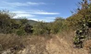 Imóvel 2646273 [''] - ['Fazenda "Queixadas do Corriola", Minaçu/GO'] [''] - ['Minaçu']/['GO'] - 1