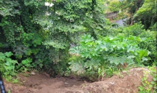 Imóvel 2522873 [''] - ['esquina da Avenida Giácomo Lunardi e a Rua Máximo Savaris, Bairro Alvorada'] [''] - ['Xaxim']/['SC'] - 1