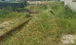 Imóvel 2693473 [''] - ['Rua Padre Anchieta, 1461 - Centro - Complemento: Sala 5 - Peruíbe/SP'] ['Centro'] - ['Peruíbe']/['SP'] - 1