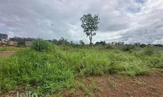 Imóvel 2717973 [''] - ['RUA SAO JOAO'] [''] - ['Barra Do Garças']/['MT'] - 1