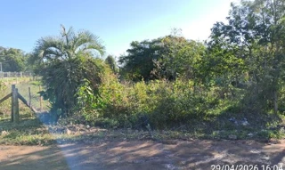 Imóvel 2929573 ['1444418375286'] - ['AVENIDA IPIRANGA,N. SN LOTE 23 DA QUADRA 26, VILA CHARRUA - CEP: 96750-000, BUTIA - RIO GRANDE DO SUL'] ['Charrua'] - ['Butiá']/['RS'] - 1