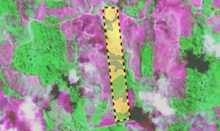 Imóvel 2607673 [''] - ['Rodovia Federal Br-230, s/n - Lote nº 6 da Gleba nº 3, Colônia N.R.GR. do Ricardo II - Zona Rural - Itupiranga / PA'] [''] - ['Itupiranga']/['PA'] - 1