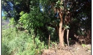 Imóvel 2604173 [''] - ['RUA CONCEICAO DO CASTELO, N. S/N, QD 05, LT 07'] ['Jardim Carapina'] - ['Serra']/['ES'] - 1