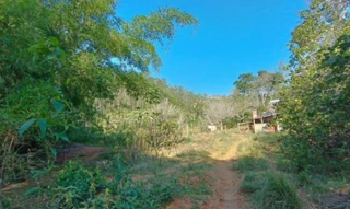 Imóvel 2593673 [''] - ['Fazenda Bom Destino, - Cataguases - MG'] [''] - ['Cataguases']/['MG'] - 1