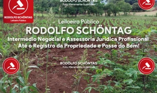 Imóvel 3014673 [''] - ['Gleba nº 33-AM, Lote Rural nº 178, Núcleo Ampere, Colônia Missões'] [''] - ['Santa Izabel Do Oeste']/['PR'] - 1