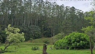 Imóvel 2599374 [''] - ['Witmarsum, SC'] [''] - ['Witmarsum']/['SC'] - 1