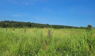 Imóvel 2662274 [''] - ['Lot Rem A N S, 0, Sitio Nossa Senhora Aparecida, Graciosa, Paranavaí - PR'] [''] - ['Paranavaí']/['PR'] - 1