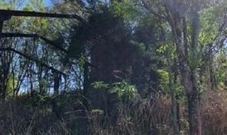 Imóvel 2619474 [''] - ['Lote de Terras nº 7-D'] [''] - ['Apucarana']/['PR'] - 1