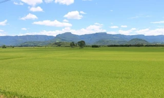 Imóvel 2665874 [''] - ['NOS LUGARES DENOMINADOS “SÃO FELIX” E “SÃO FELINHO”'] [''] - ['São Sebastião Do Maranhão']/['MG'] - 1