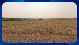 Imóvel 2633774 [''] - ['Distrito de São Miguel do Cambuí'] [''] - ['Marialva']/['PR'] - 1