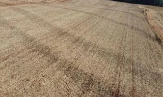 Imóvel 2539374 [''] - ['Lote n 79-A-3, Gleba n 3, 2a Parte, da Colônia Goio-bang, CEP: 87390-000, Boa Esperança/PR'] [''] - ['Boa Esperança']/['PR'] - 1