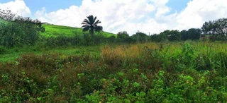 Imóvel 2560674 [''] - ['Lote de Terreno nº 12, da Quadra “D”, do Loteamento João Moraes de Aguiar, São José, Carpina/PE'] ['São José'] - ['Carpina']/['PE'] - 1