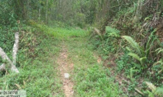 Imóvel 2664674 ['IDR186882'] - ['Estrada Municipal, S/N, Estrada municipal - Itaió, Itaió, Itaiópolis, SC, 89340-000'] ['Centro'] - ['Itaiópolis']/['SC'] - 1