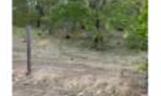 Imóvel 2629174 [''] - ['Fazenda Santo Antônio, Taipas do Tocantins'] [''] - ['Taipas Do Tocantins']/['TO'] - 1