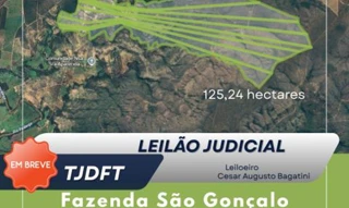 Imóvel 2989574 [''] - ['zona rural do município de Arinos'] [''] - ['Arinos']/['MG'] - 1