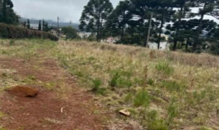 Imóvel 2699774 [''] - ['Rodovia Rs-373, s/nº - Gleba 1 - Várzea Grande - Gramado / RS'] [''] - ['Gramado']/['RS'] - 1