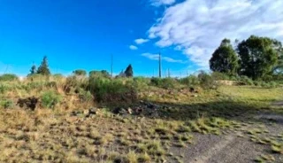 Imóvel 2410074 [''] - ['Bairro Pisani'] ['Pisani'] - ['Lages']/['SC'] - 1